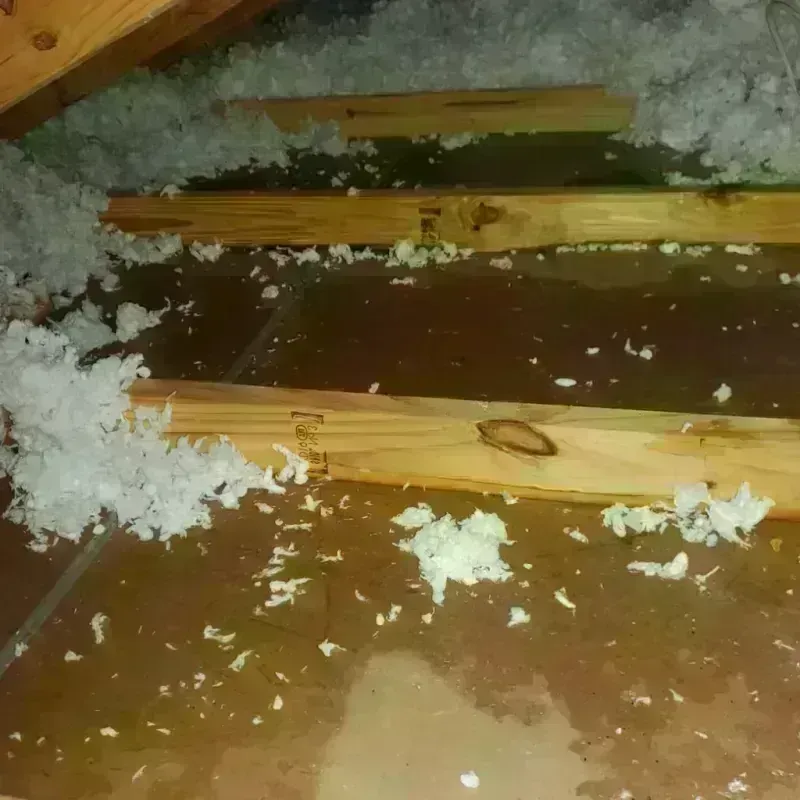 Attic Water Damage in Grantsville, WV